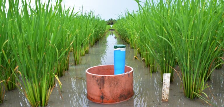 RBI Joins Rwanda–Singapore Emissions reduction Bilateral Agreement