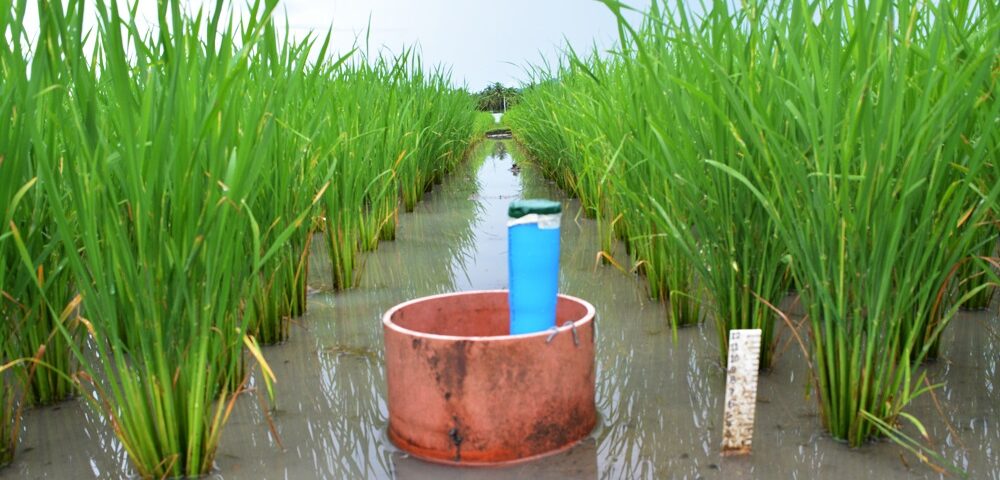 RBI Joins Rwanda–Singapore Emissions reduction Bilateral Agreement