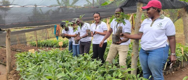 RBI LEADERSHIP CONDUCTS FIELD VISIT TO THE RESTORATION SITE IN RUTSIRO